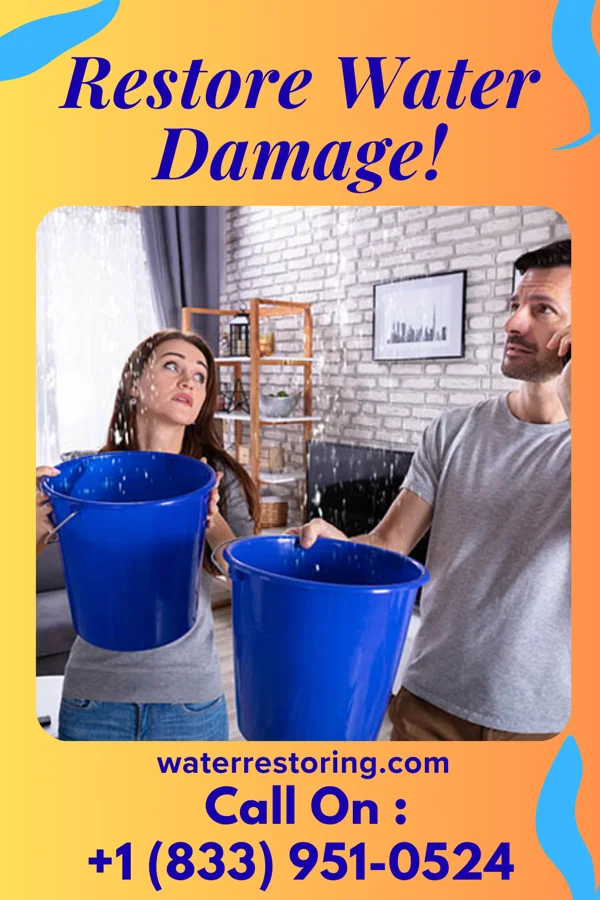 water restoration Imperial Sewage Cleanup LLC New Beaver
