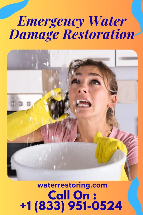 Emergency Water Damage Restoration in New Beaver, PA
