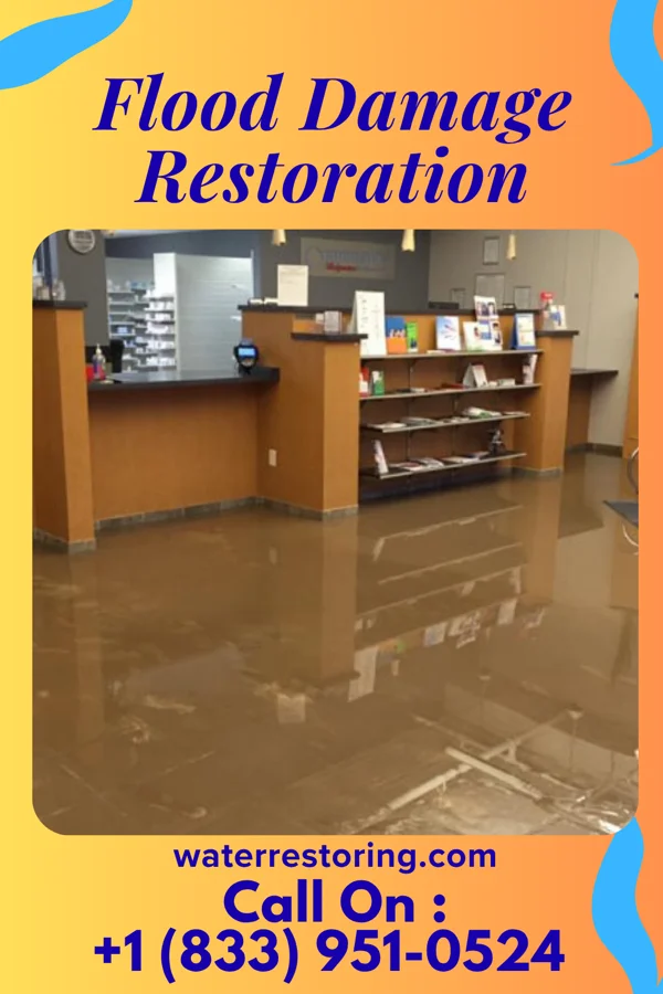Flood Damage Restoration in New Beaver, PA