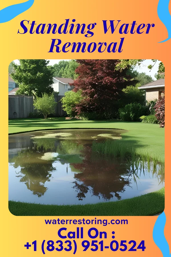Standing Water Removal in New Beaver, PA